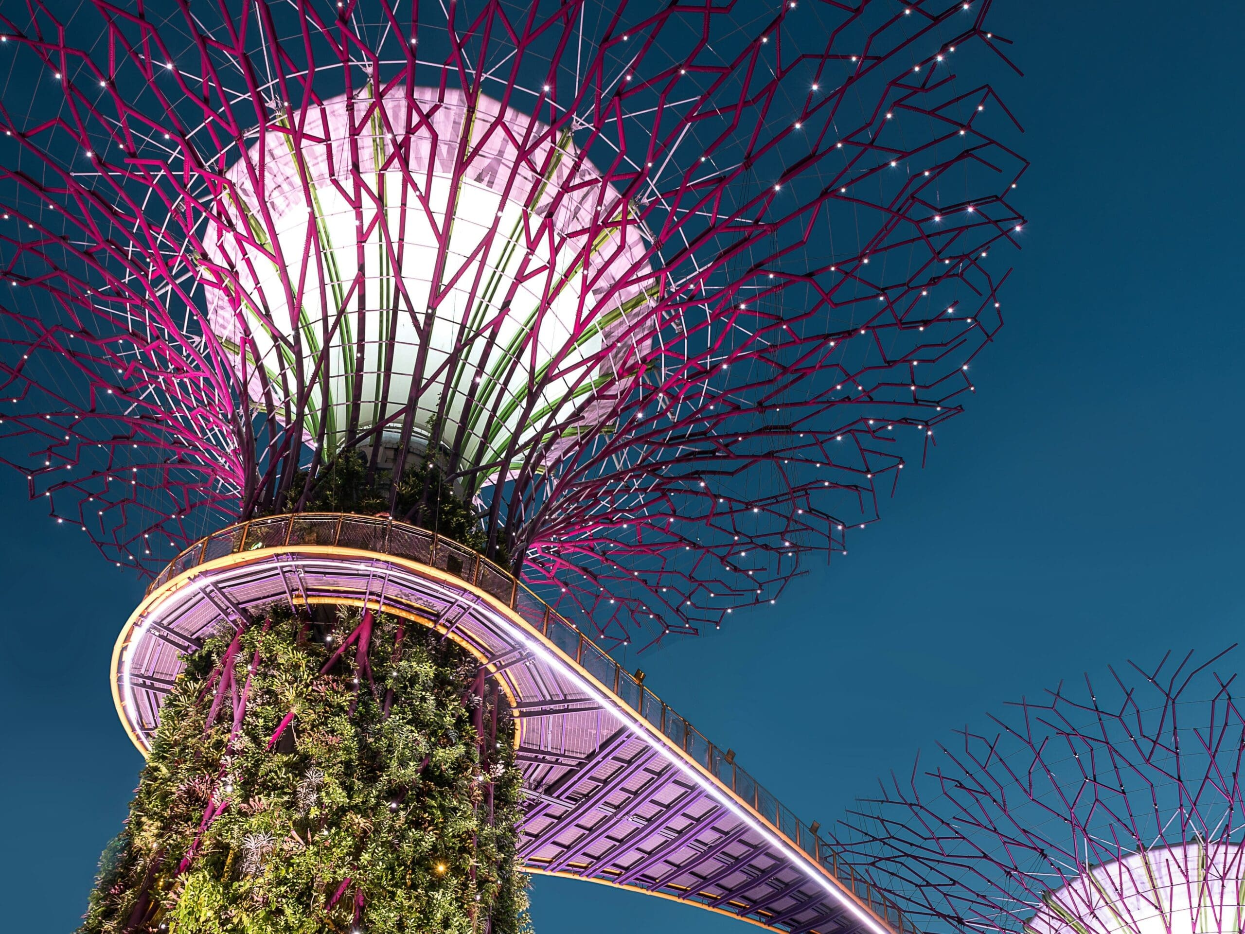 Lila "Supertree"-Illumination in der Abenddämmerung, ein Wahrzeichen Singapurs
