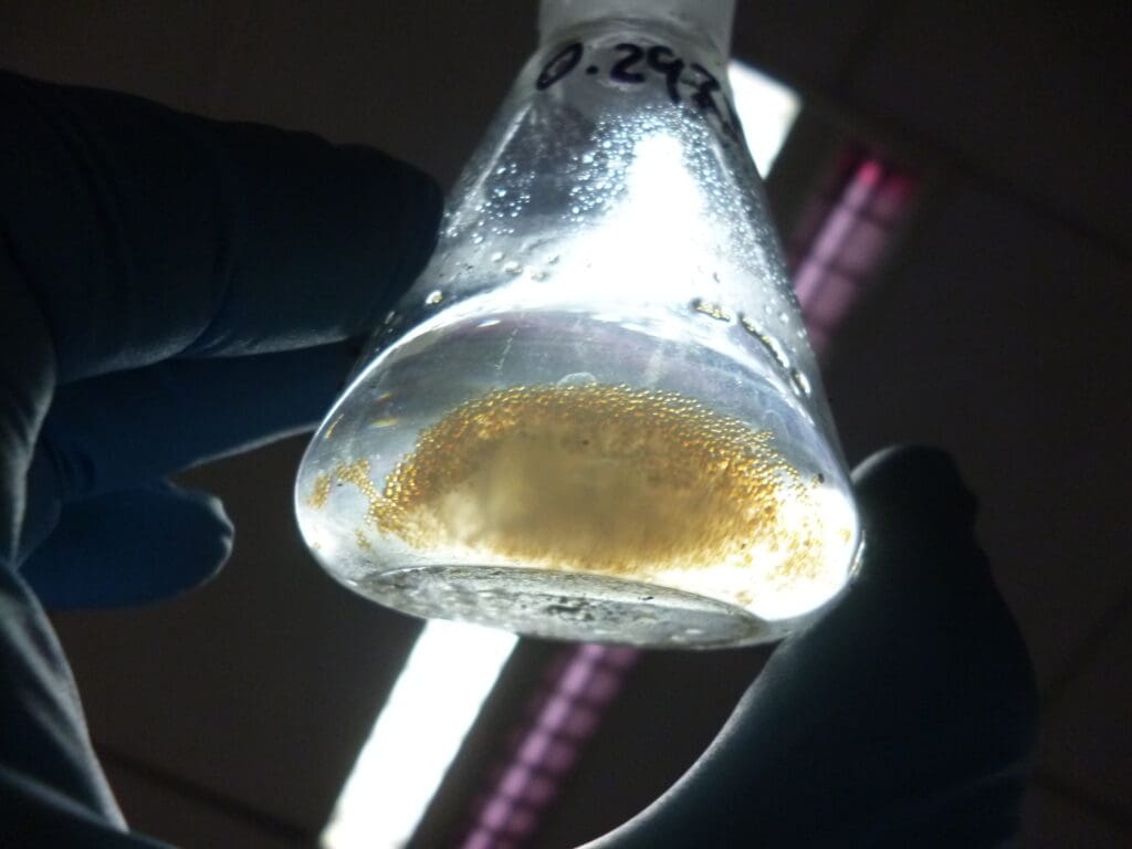 Biodiesel based on enzymes in an Erlenmeyer flask