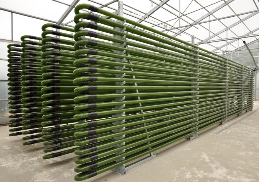 Image shows a tubular glass photobioreactor for the cultivation of microalgae and other photosynthetic organisms; it has an operational volume of 4000 liters
