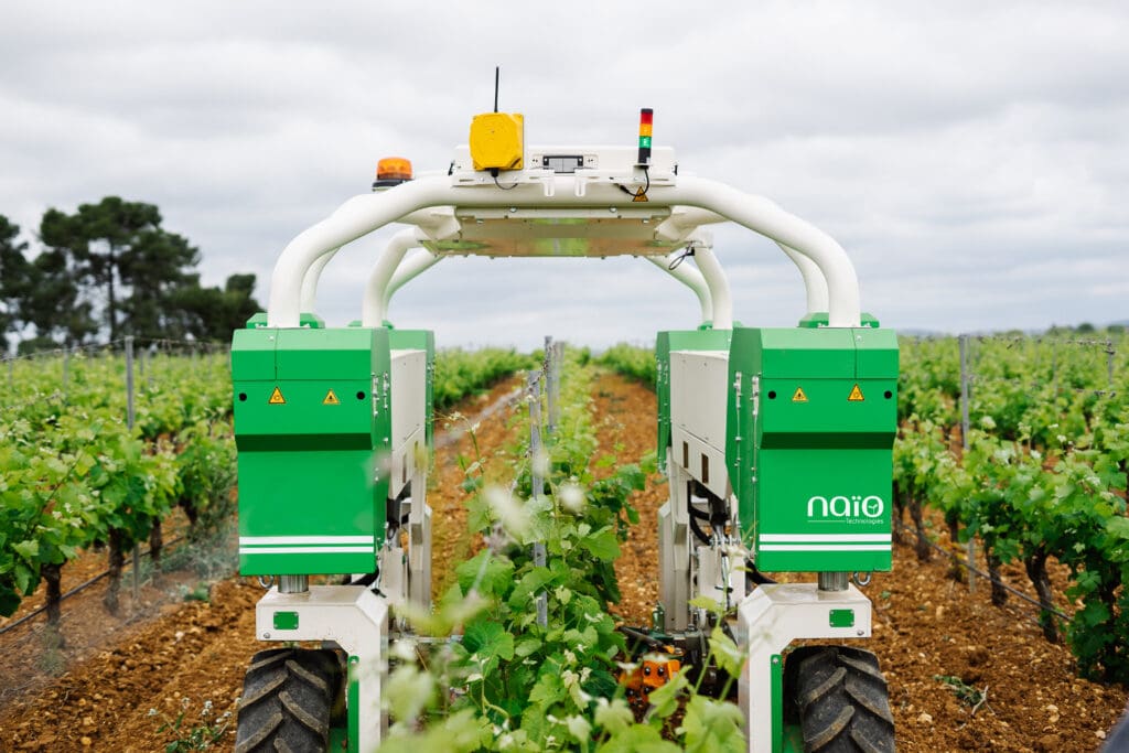Naïo robot driving along a row of green vine on a brown field, executing precise mechanical weeding, without herbicides